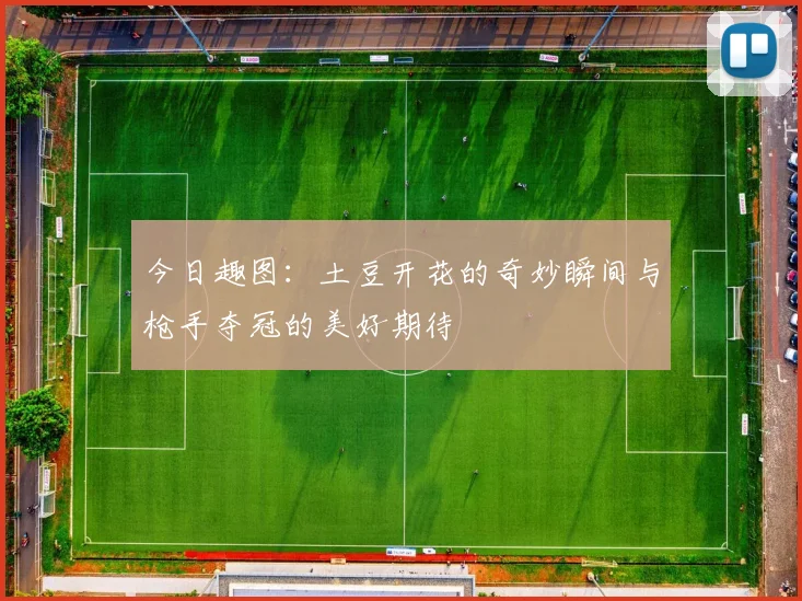 今日趣图：土豆开花的奇妙瞬间与枪手夺冠的美好期待